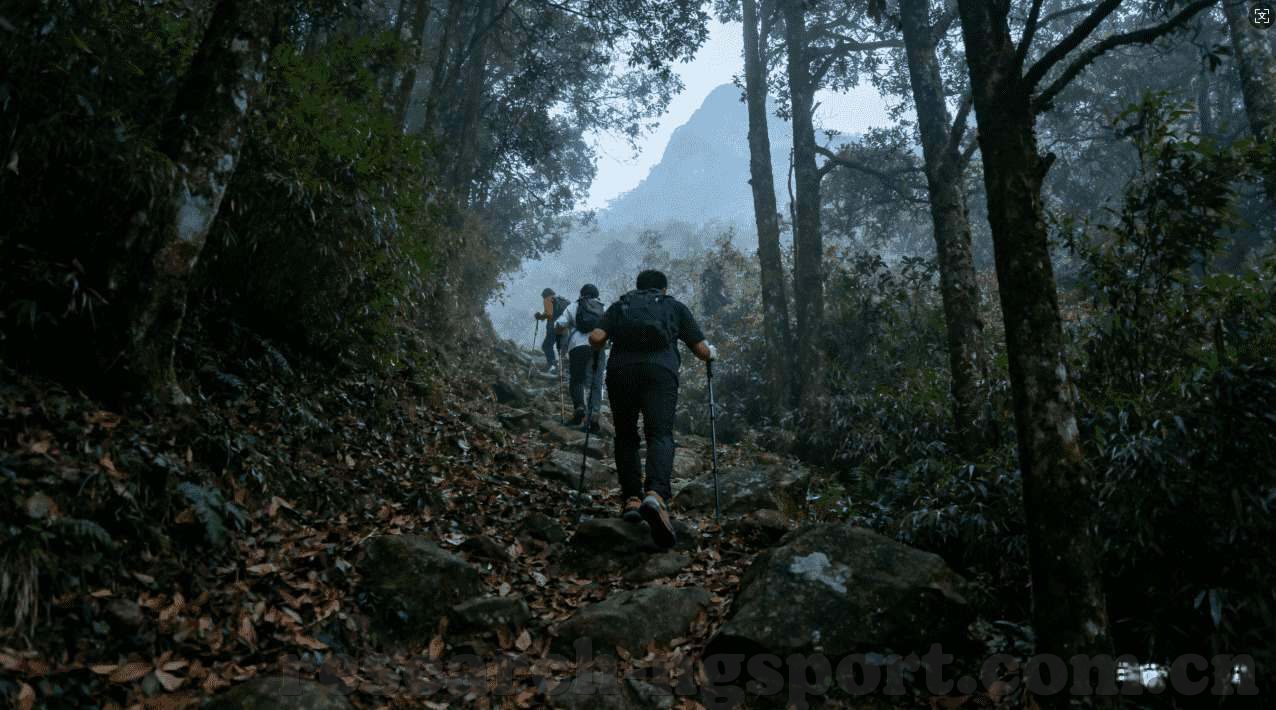 世界杯预测德国瑞典-德国与瑞典，世界杯赛场上的铁血对决